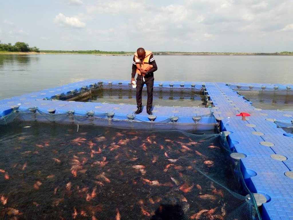 africa-saltwater-aquaculture UV-resistant dock blocks in 45°C African waters, reducing evaporation by 40% with integrated shade nets