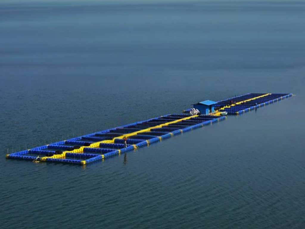 antarctic-krill-research-blocks Polar-grade HDPE blocks for scientific krill farming at -20°C with ROV maintenance hatches