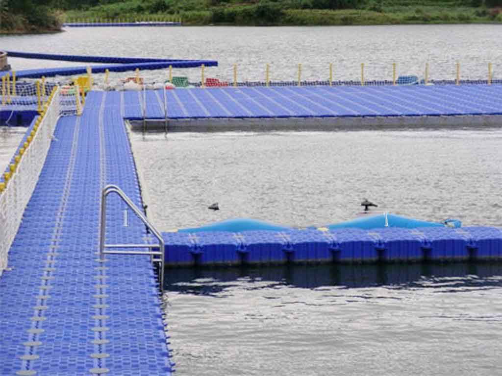 competition-swim-training-platform training swim platform with lap markers and starting blocks for professional athletes