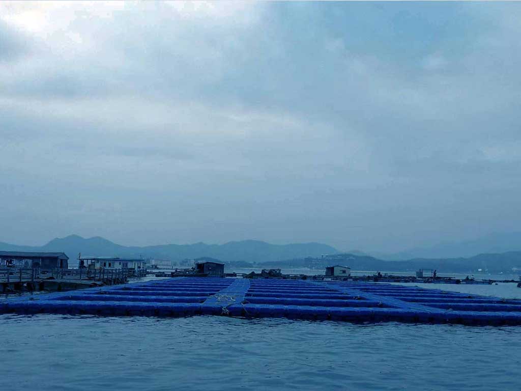 malaysia-monsoon-fish-farm Stormproof floating cages in Southeast Asian monsoon, 4m wave resistance via hexagonal blocks