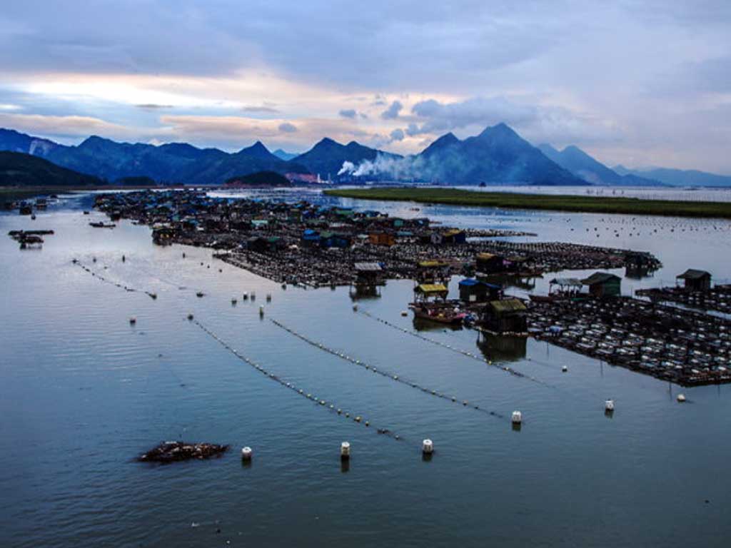 modular-fish-farm-deployment-72hrs Interlocking plastic dock blocks forming 200m fish cage in open ocean, deploying within 72 hours with modular aquaculture system