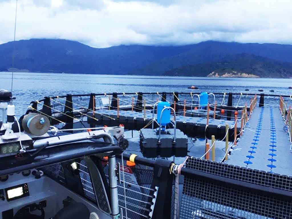 newzealand-tidal-fish-farm Current-powered modular farm in sea with turbine-integrated dock blocks generating 20kW