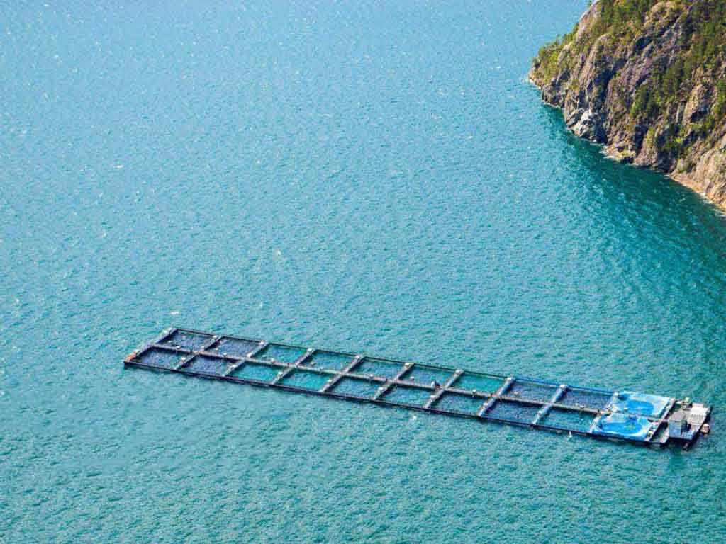 norway-salmon-modular-cages HDPE dock block salmon farm in Arctic fjord with automated feeders, operating at -5°C