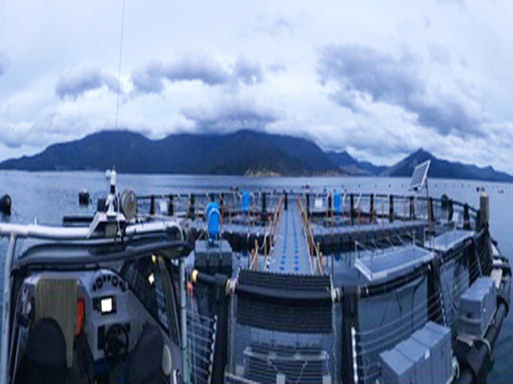 storm-adaptive-hex-grid-system Hexagonal HDPE dock blocks distributing wave forces in 4m waves, reducing anchor load 60%