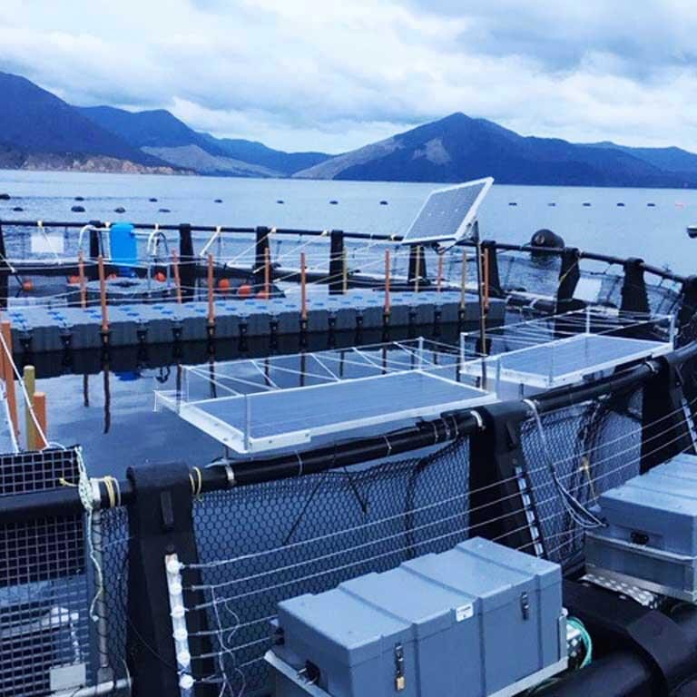 Heavy-duty 350kg industrial floating work platform with modular pontoons for marine construction and maintenance.